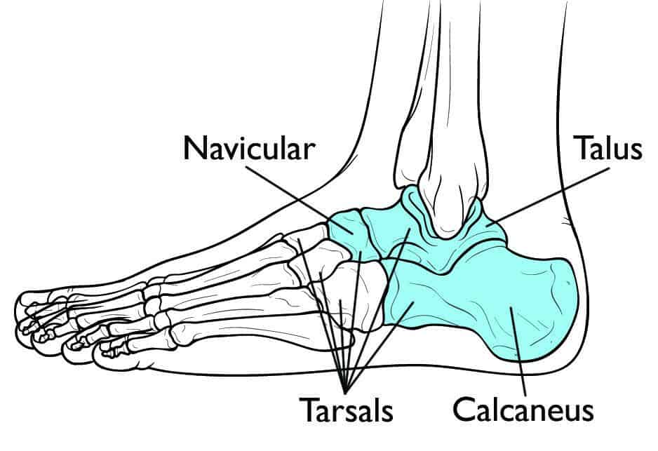 Ankle Pain Relief for Runners - Custom Chiropractor