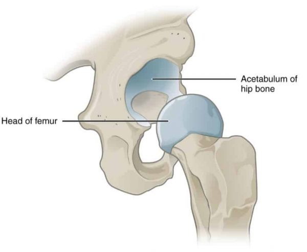 Why is my hip popping? - Custom Chiropractor