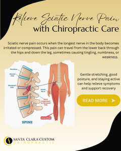Infographic explaining sciatic nerve pain and how chiropractic care can help relieve sciatica symptoms. The illustration shows the spine with a herniated disc compressing the sciatic nerve and a human body diagram highlighting pain that radiates from the lower back through the hips and down the leg. The graphic from Santa Clara Custom Chiropractic also notes that gentle stretching, good posture, and staying active may help reduce sciatic nerve pain.